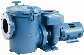 Pentair CCSPHN3 145MS2 Wind Start Pool and Spa Pump, 20 HP, 230/460 Volt : Swimming Pool Water Pumps : Patio, Lawn & Garden