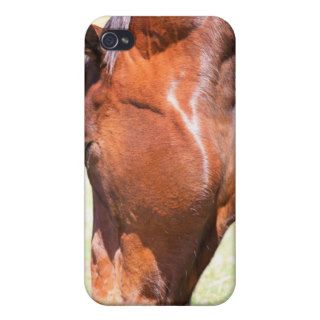 Horse Iphone Case Cases For iPhone 4