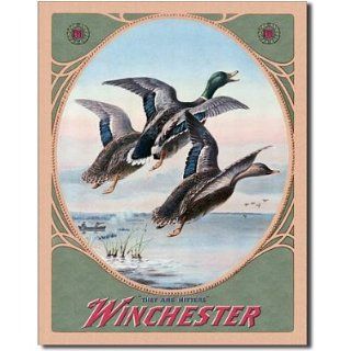 Winchester Guns 3 Mallard Ducks Hunting Retro Vintage Tin Sign   Prints