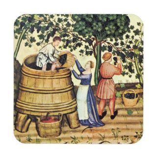 ANTIQUE GRAPE VINEYARD HARVEST DRINK COASTERS