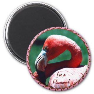 Flamingo magnet