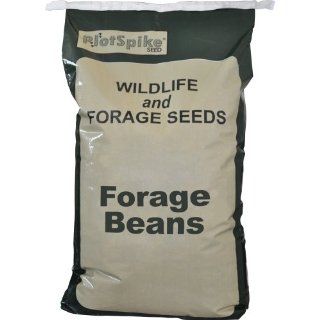 PlotSpike Forage Soybeans Plant, 25 Pound : Grass Plants : Patio, Lawn & Garden