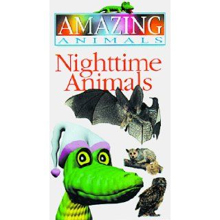 Nighttime Animals (Amazing Animals) DK Publishing 9780789419569 Books