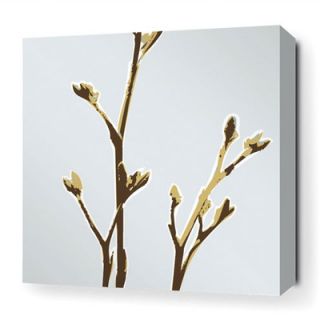 Inhabit Botanicals Axis Stretched Graphic Art on Canvas in Aqua AXAQ Size 16