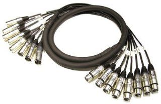 10' 8 CHANNEL XLR MALE TO XLR FEMALE SNAKE CABLE 10 FT KIRLIN MT 815: Musical Instruments