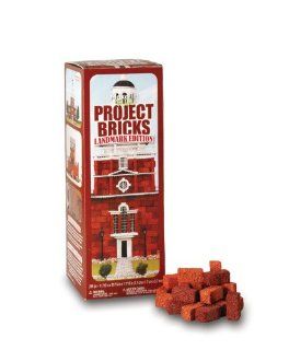 FloraCraft Landmark Edition Project Red Foam Bricks