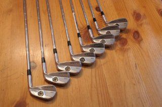 Taylor Made Tour Preferred MB Iron Set   3 PW   Dynamic Gold Stiff Flex   Right Hand : Golf Club Iron Sets : Sports & Outdoors