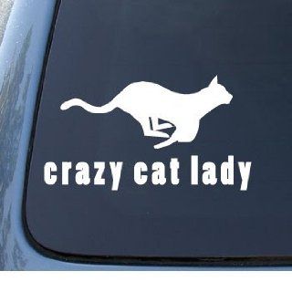 CRAZY CAT LADY   Kitty   Car, Truck, Notebook, Vinyl Decal Sticker #1095  Vinyl Color: White: Automotive