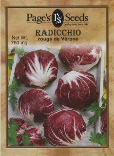Radicchio, Rouge De Verone : Herb Seed Packet : Patio, Lawn & Garden