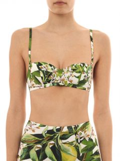 Lemon blossom print bikini top  Dolce & Gabbana  MATCHESFASH
