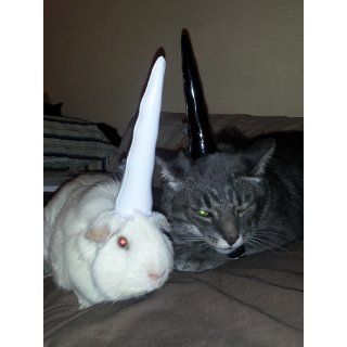 Accoutrements Inflatable Unicorn Horn for Cats: Toys & Games