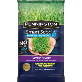 Pennington Smart Seed 7 lb Shade Fescue Grass Seed Mixture