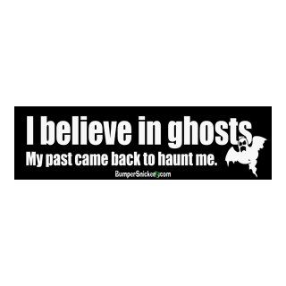 I believe in ghosts. My past came back to haunt me.   Refrigerator Magnets 7x2 in: Automotive