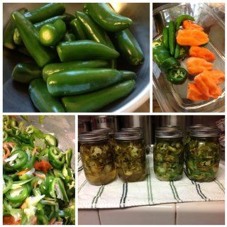 Canning for a New Generation Bold, Fresh Flavors for the Modern Pantry Liana Krissoff, Rinne Allen 9781584798644 Books