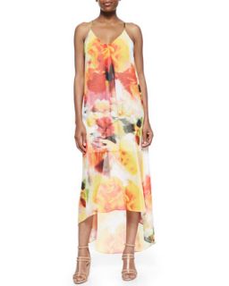 Womens Vandy Printed Maxi Dress   Alice + Olivia   Sunset blur (X SMALL)