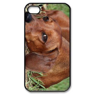 Dachshund Dog Lovely Photo iPhone 4/4s Case Back Case for iphone 4/4s: Cell Phones & Accessories