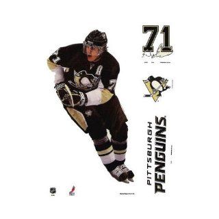 Pittsburgh Penguins Official NHL 11"x17" Car Window Cling Decal by Wincraft : Sports Fan Automotive Decals : Sports & Outdoors