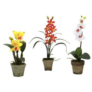 Nearly Natural   4985 A3 S3   Potted Orchid Mix (Set of 3)   Kitchen Small Appliance Sets