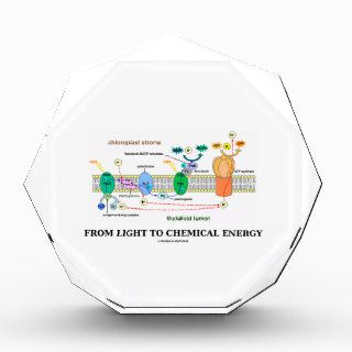 From Light To Chemical Energy (Photosynthesis) Award