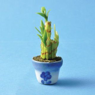 Dollhouse Miniature Lucky Bamboo Plant: Toys & Games