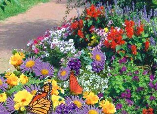 Garden Butterfly Mat   Instant Garden, Roll N Grow   Seeded Mat   Just Roll and Grow! Instant Flower Garden   (Easy & Hassle Free!)   Grow Flowers Quickly & Easily! : Plant Seed And Flower Products : Patio, Lawn & Garden