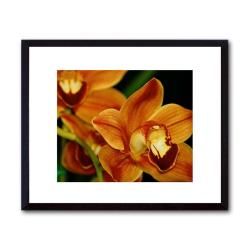 Glenn Pipapi 'Tangerine Cymbidium Orchids' Framed Art Prints