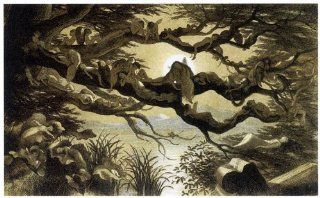 CANVAS Fairyland Asleep in the Moonlight 1870 by Richard Doyle Fairy Fairies Folklore Magical Legendary Creature 14" X 22" Image Size Reproduction on CANVAS. Several more sizes available!   Prints