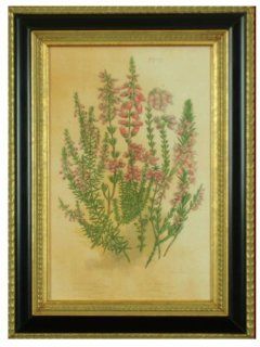 Antique Floral Lithograph Reproduction, Hand framed Botanical Artwork By H. Hal Kramer Since 1963   Lithographic Prints