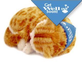 Perfect Petzzz Special Occasion Bandana Get Well Soon   Blue: Sports & Outdoors
