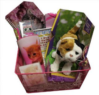 Ultimate Cat Lover Gift Basket   Perfect for Birthdays, Christmas, Get Well Soon, or Other Occassions: Toys & Games