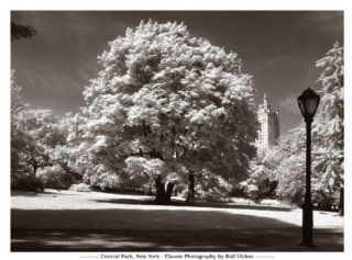 Kunstdruck Poster: Ralf Uicker "Central Park, New York" 116 x 86: Küche & Haushalt