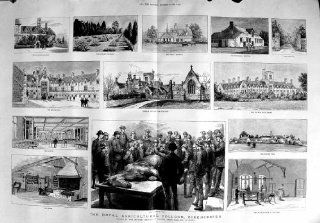 Knigliche Landwirtschaftliche College 1888 Cirencester Bad Molkerei: Küche & Haushalt