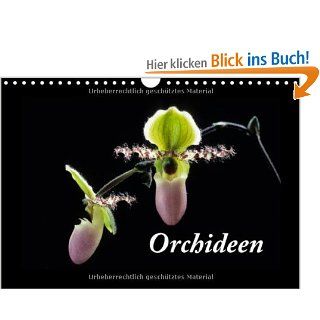 Orchideen 2014 Wandkalender 2014 DIN A4 quer  Orchideen Fotografien Monatskalender, 14 Seiten klebergagelart Bücher
