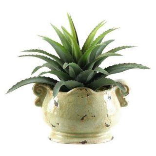 Star Succulent in Oblong Ceramic Planter