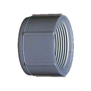 GenovaProducts PVC (Schedule 40) Threaded Caps   3016