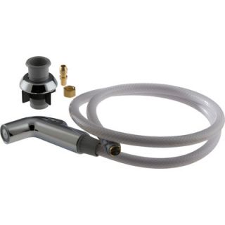 Delta Spray and Hose Assembly with Spray Support Replacement Kit