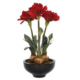 House of Silk Flowers Artificial Amaryllis in Pot