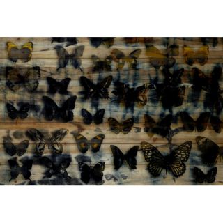 Dark Monarch Society Wall Art on Natural Pine Wood