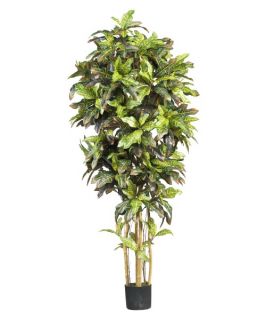 Nearly Natural 6 ft. Croton Silk Tree   Silk Trees and Palms
