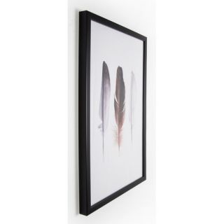 Spring 2015 Feather Trio Framed Photographic Print by Graham & Brown