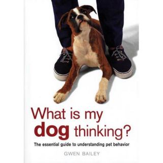 What Is My Dog Thinking: The Essential Guide to Understanding Pet Behavior