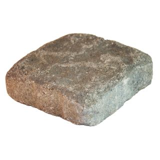 allen + roth Luxora Fredrickson Countryside Patio Stone (Common: 6 in x 6 in; Actual: 5.8 in H x 5.8 in L)