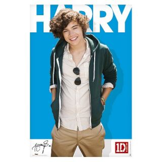 Art One Direction Harry Colour Poster