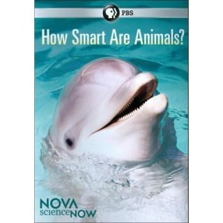 NOVA scienceNOW: How Smart Are Animals?