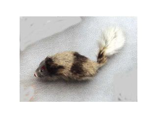 Ethical Pet A Door Able Real Fur Mouse   2427