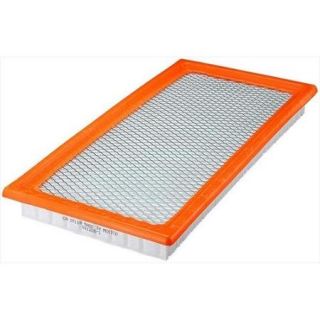 FRAM CA10118 Extra Guard Air Filter   Flex Panel