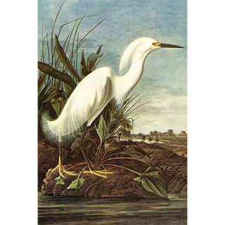 Snowy Egret by John James Audubon Painting Print by Buyenlarge