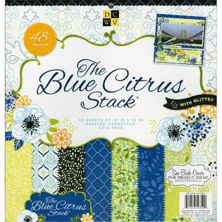 DIECUTS WITH A VIEW Blue Citrus Paper Stack 12X12 48/Sheets 24