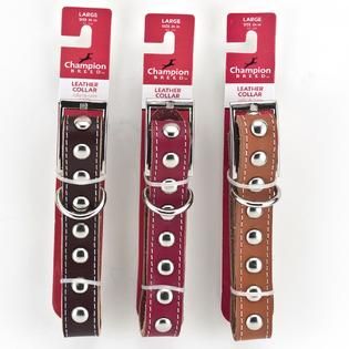 Champion Breed  Studded Leather Dog Collar, 1 X 18 26