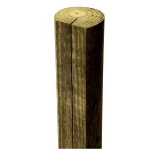 Pressure Treated Wood Pine Fence Post (Actual: 4 in x 4 ft)